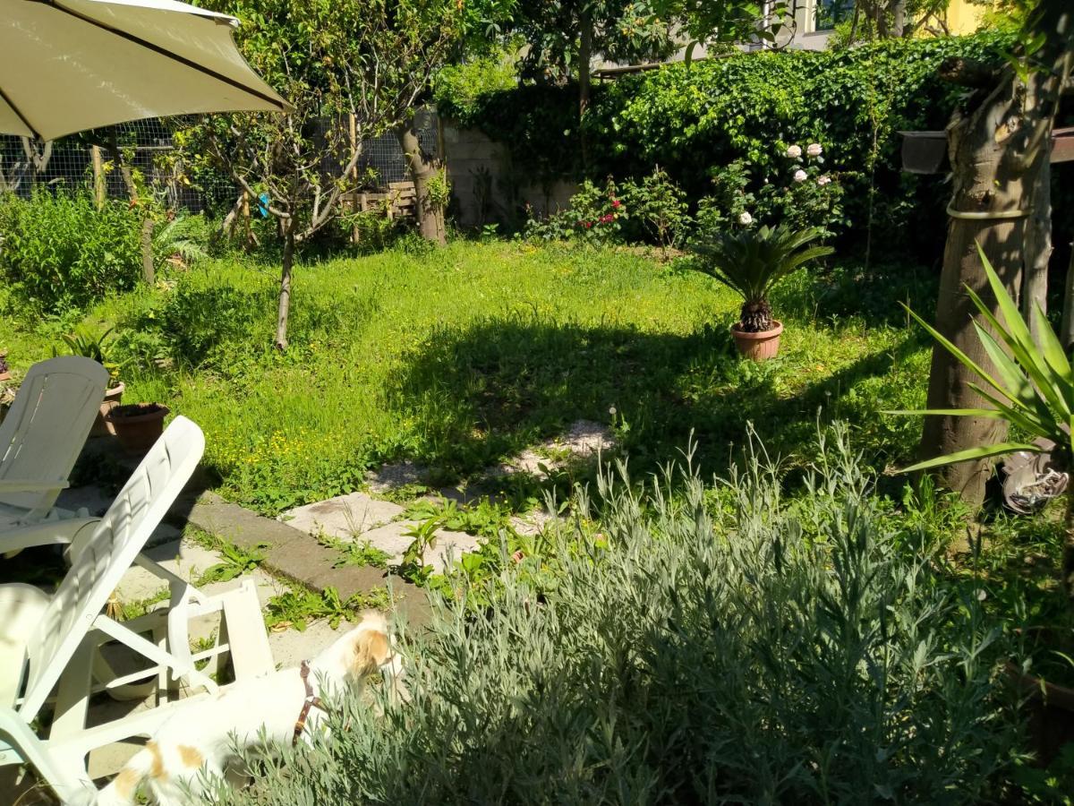 Bed and Breakfast Villino L'Aranceto Sorrentino Мета Екстер'єр фото