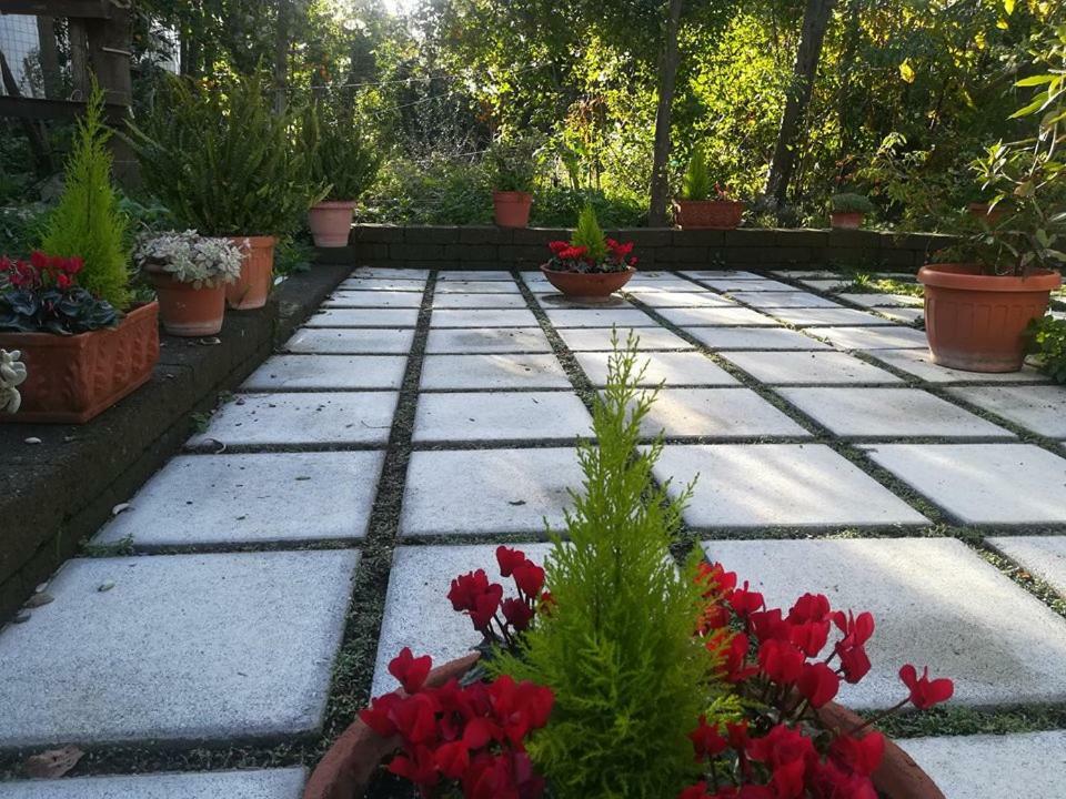 Bed and Breakfast Villino L'Aranceto Sorrentino Мета Екстер'єр фото
